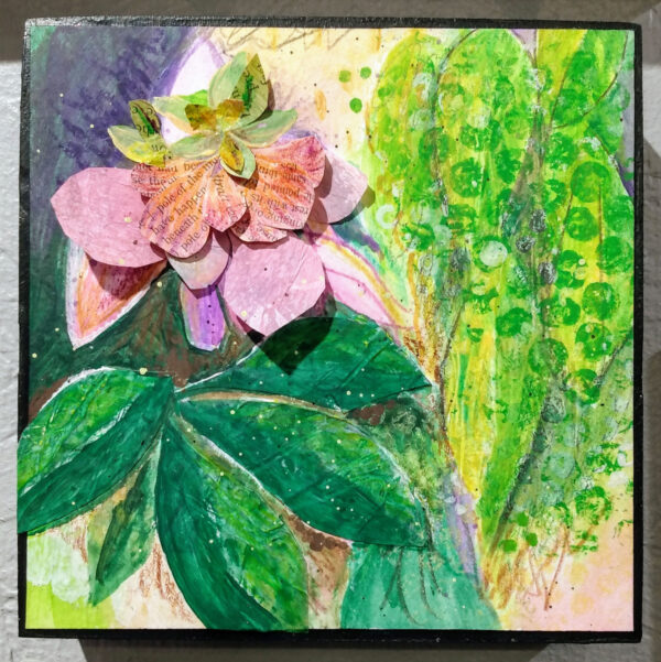 Hellebore (1)