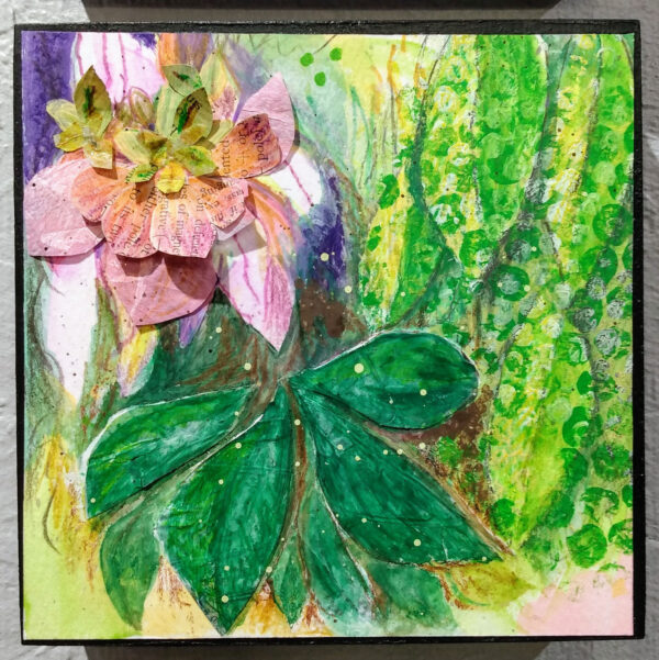 Hellebore (2)